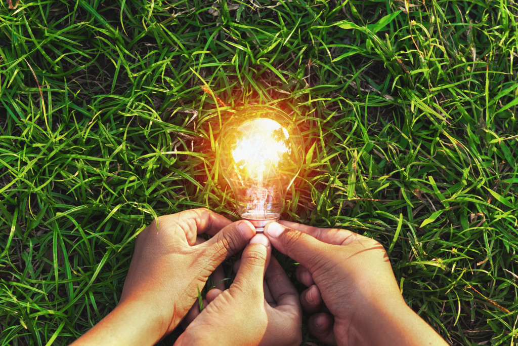 Hands holding a glowing light bulb on a grassy patch