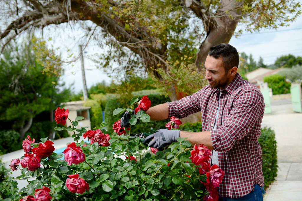 man trimming his plants with flowers