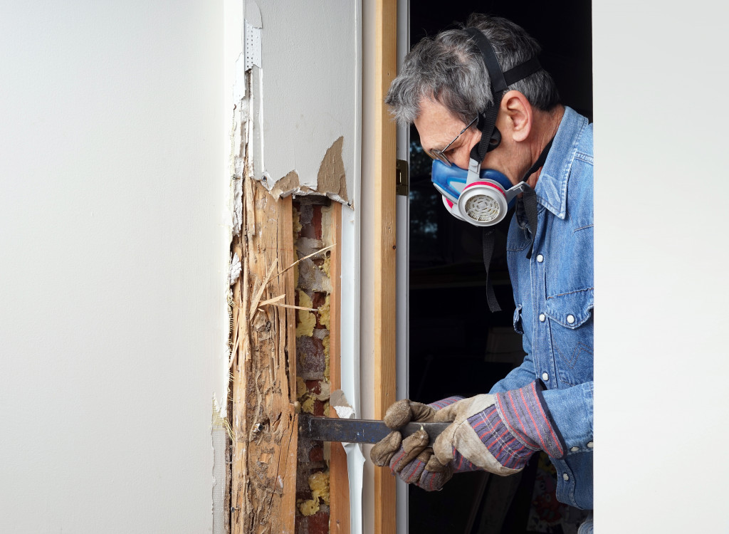 a man removing infested wood