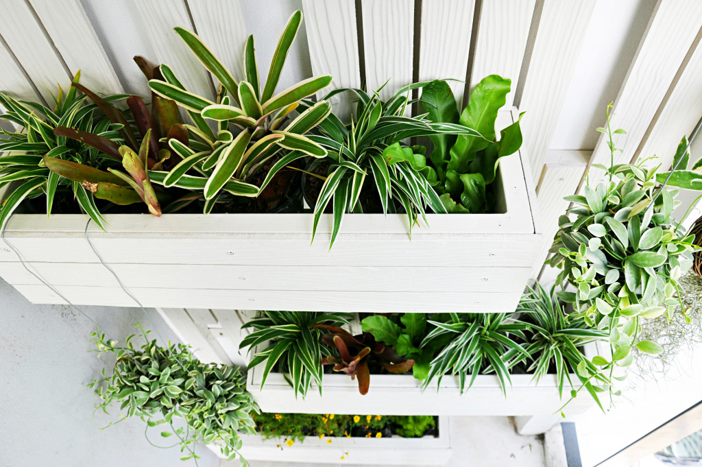 vertical garden in a wooden wall