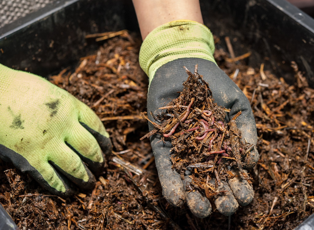 A worm composting pit