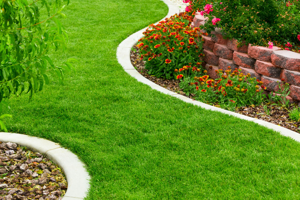 garden with plants and flowers