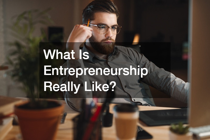 What Is Entrepreneurship Really Like?